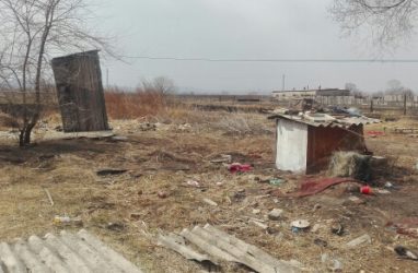 В Приморье поджигателей, которые чуть не спалили жилые дома, оштрафовали на 2000 рублей