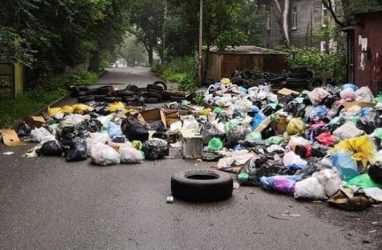 Проблему с мусором во Владивостоке объяснили запаркованностью подъездов и нехваткой техники у перевозчиков