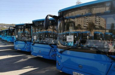 Специальный дилерский центр будет обслуживать новые автобусы, поступившие во Владивосток
