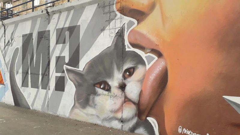Уличное искусство, домашние животные, любовь, кот