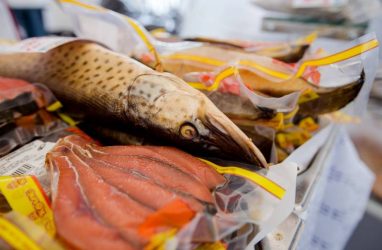 В строительство рыбного рынка во Владивостоке уже вложили 23 млн рублей