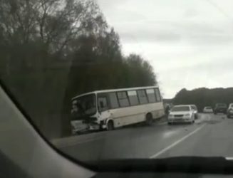 Автобус столкнулся с «Приусом» в Приморье. Обе машины «отлетели» в кювет