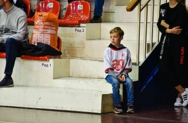 В Приморье дети — любители онлайн-игр становятся жертвами мошенников