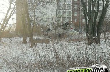 Во Владивостоке обнаружили перевёрнутый на крышу автомобиль