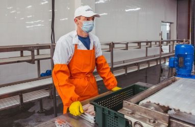 В Приморье в строительство рыбоперерабатывающих заводов вложат 2,2 млрд рублей