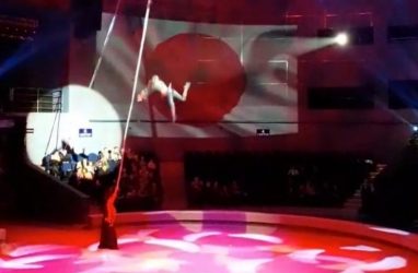 Следственный комитет начал проверку по факту падения гимнастки во Владивостокском цирке