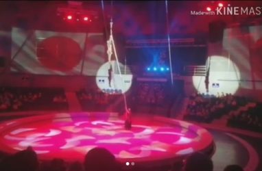 Воздушная гимнастка разбилась во время представления во Владивостоке