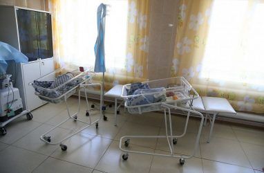 Благодаря экстракорпоральному оплодотворению в 2019 году в Приморье родилось 260 детей