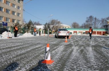 Опрос: права купили 9% автомобилистов в Приморье