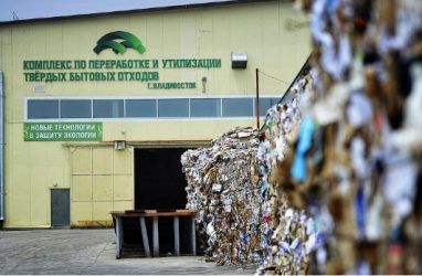 Правительству Приморского края пришлось извиняться за переполненные мусорные контейнеры