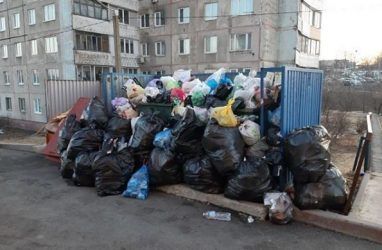 Жители Владивостока пожаловались на огромную кучу мусора возле дома