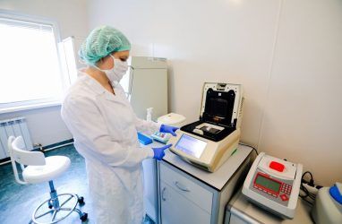 Почти 50 тысяч человек обследовали на коронавирус в Приморье