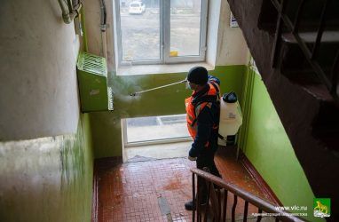 В Приморье выявили многочисленные нарушения при санитарной обработке подъездов