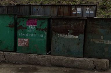 Ситуация с вывозом мусора во Владивостоке в начале 2021 года улучшилась — губернатор