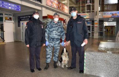 Рокки взяли на службу в транспортную полицию Владивостока