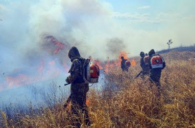 Национальный парк в Приморье зафикисировал рекордно низкую площадь лесных пожаров