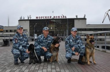 Корица с яблоком служит в транспортной полиции Владивостока