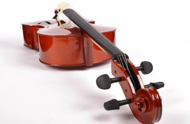Выбор недорогой виолончели: советы специалиста