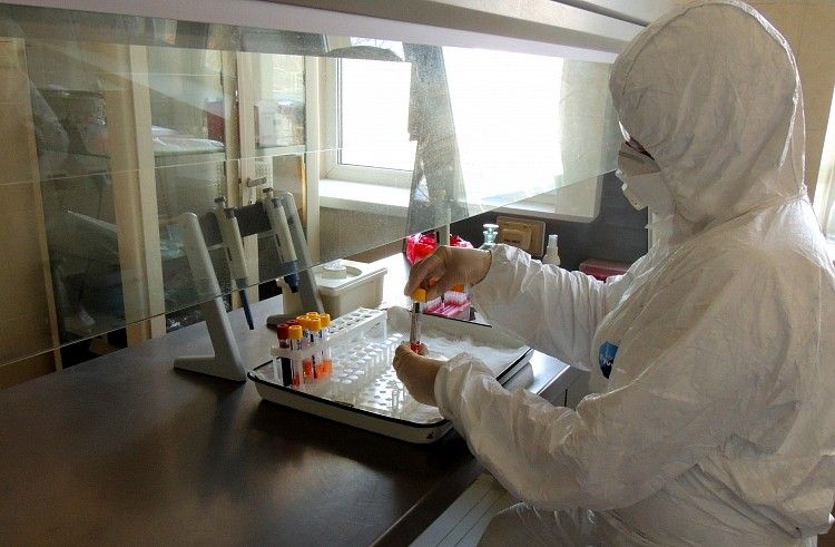 Лаборатория, исследования, коронавирус, африканская чума свиней. Фото - пресс-служба правительства Приморского края