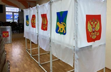 В Приморье поправки в Конституцию одобрили 78,14% избирателей — данные на 01:15