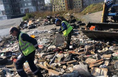 Свалки мусора вывезли с нескольких улиц Владивостока — фото
