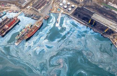 В Приморье пытаются понять, почему в одном из заливов десятилетиями появляются нефтяные пятна