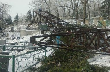 Во Владивостоке конструкции ЛЭП упали прямо на могилы Морского кладбища
