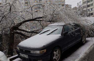 Ледяной дождь довёл Владивосток до режима ЧС