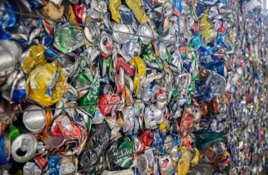 На полигоне на острове Русский 85% мусора оставят в запрессованном виде