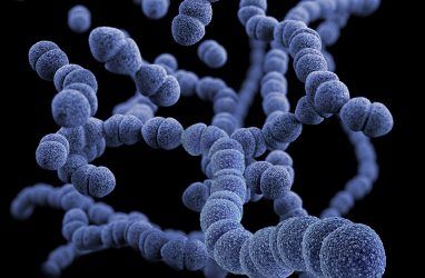 Как защититься от пневмонии на фоне пандемии коронавируса?