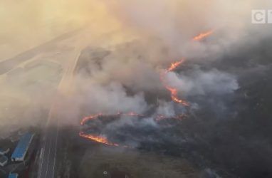 Завораживающее зрелище: масштабный природный пожар в Приморье попал на видео