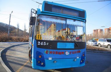 Парк общественного транспорта Хабаровска пополнился троллейбусами