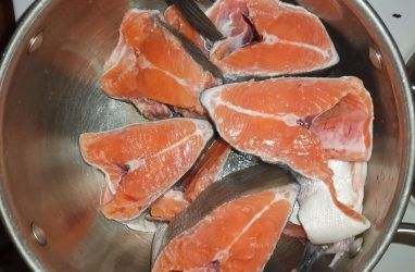 Более 400 тонн лосося выловили в Приморье