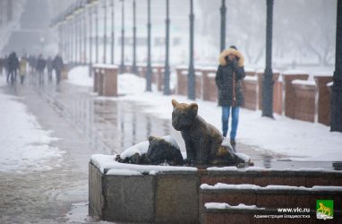 Выяснилось, чем загрязнен воздух во Владивостоке