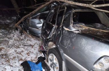 В Приморье водитель без прав попал в аварию с двумя несовершеннолетними пассажирками — фото