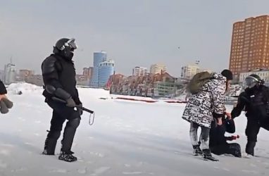 Во Владивостоке ОМОНовцы преследовали митингующих прямо по льду Амурского залива