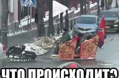 «Нечто на санях» в центре Владивостока шокировало горожан — видео
