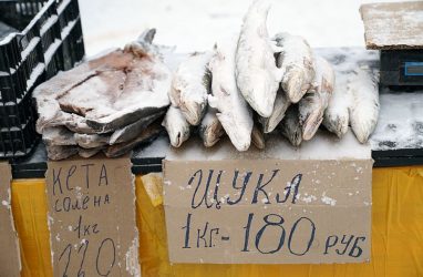 Уроженца Украины осудили в Приморье за браконьерство