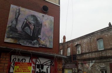 Во Владивостоке разработали пешеходную экскурсию на тему стрит-арта