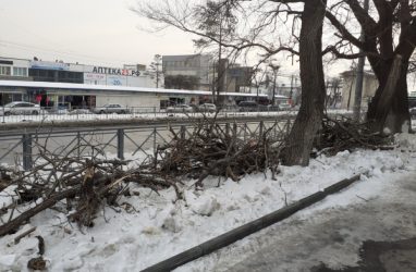 «Фронтовики» требуют от властей Владивостока отчитаться за траты на устранение последствий «ледяного дождя»