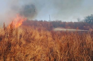 «Так опасно»: в Приморье полыхал природный пожар у территории с гелиевым заводом