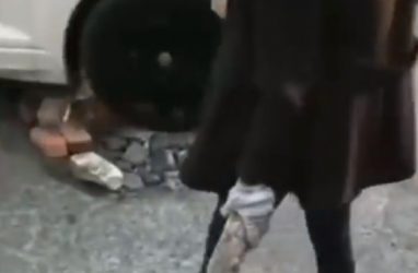 Хрупкая девушка «ремонтировала» одну из дорог в Приморье кирпичами — видео