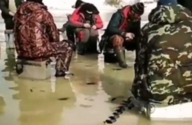 Хобби на грани безумия: в Приморье засняли рыбаков на остатках льда — видео