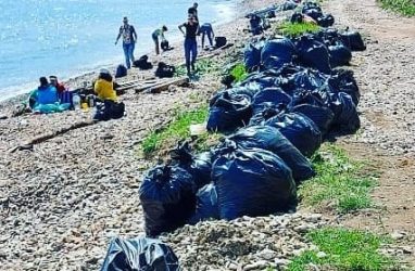 Даже 16 человек не хватило, чтобы убрать от мусора берег бухты во Владивостоке