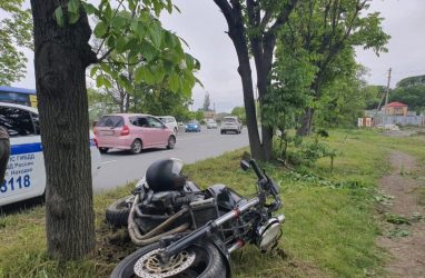 В Приморье мотоциклист без прав «влетел» в дерево и попал в реанимацию — фото