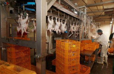 Ещё одну партию подозрительной курятины из Китая остановили в Приморье