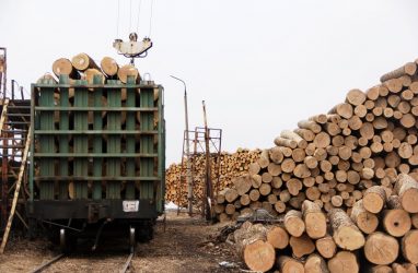 Более 173 тыс. кубометров российского леса направили в разные страны через Приморье