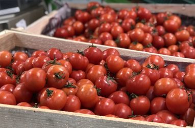 В Приморье уничтожат крупные партии томатов и перца из Китая