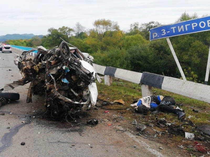 «Чайзер в хлам»: молодой водитель погиб в страшном ДТП в Приморье — фото