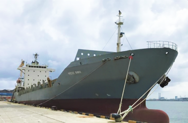 В состав флота FESCO вошла 142-метровая «Янина»